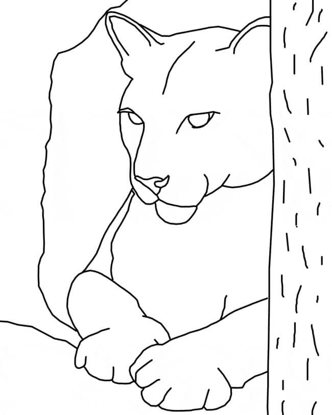Cara Puma para colorear, imprimir dibujar –ColoringOnly.Com