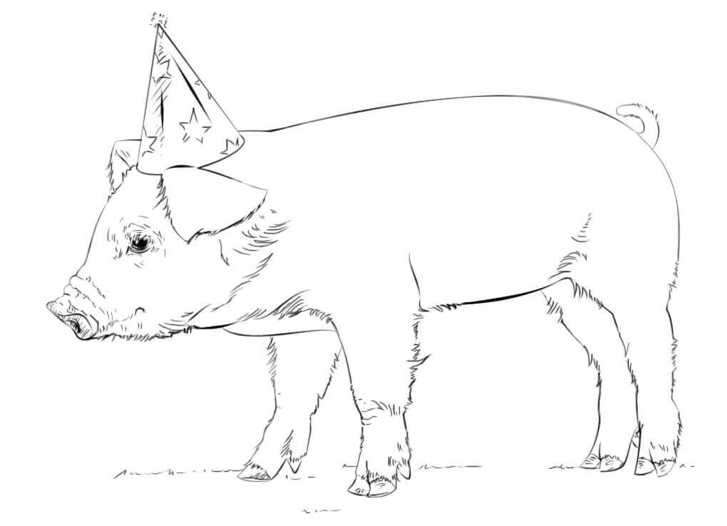 Cerdo con Gorro de Fiesta