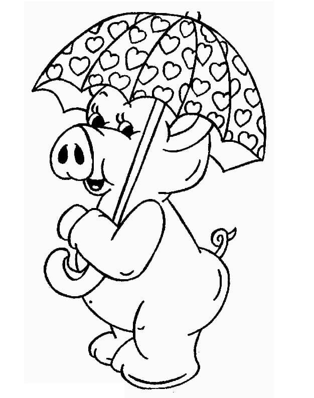 Cerdo con Paraguas
