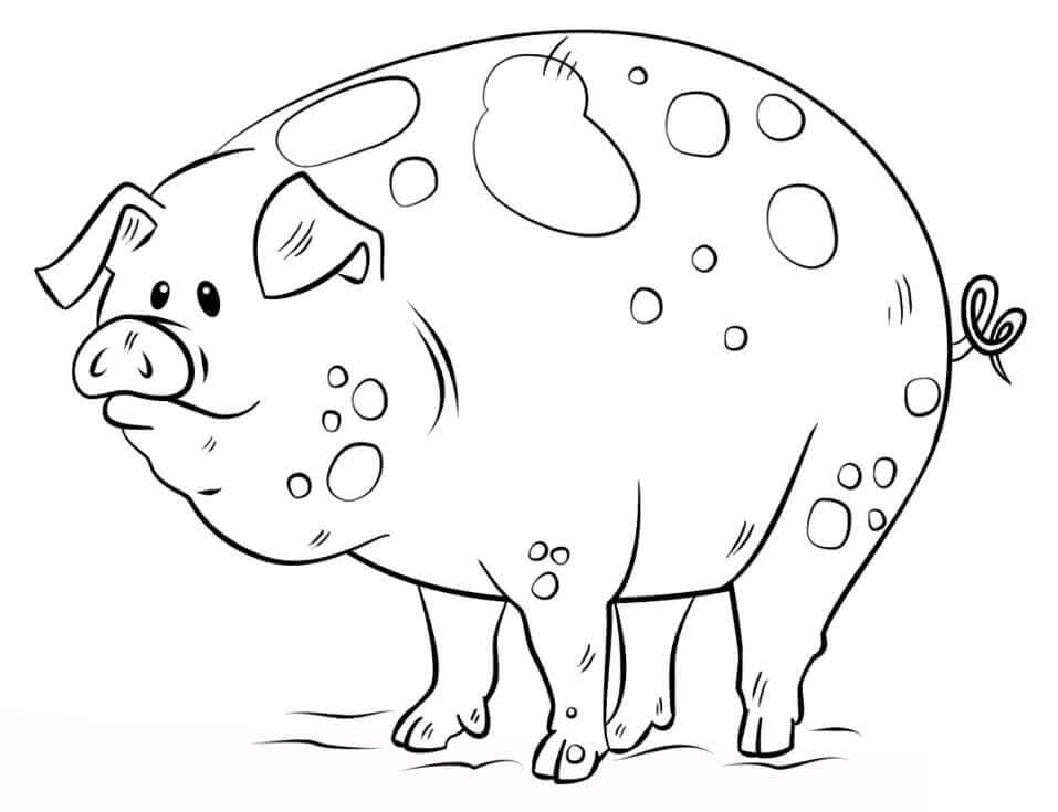 Dibujos de Cerdo para colorear e imprimir– 