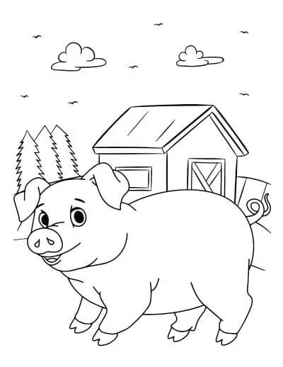 Cerdo en Granero