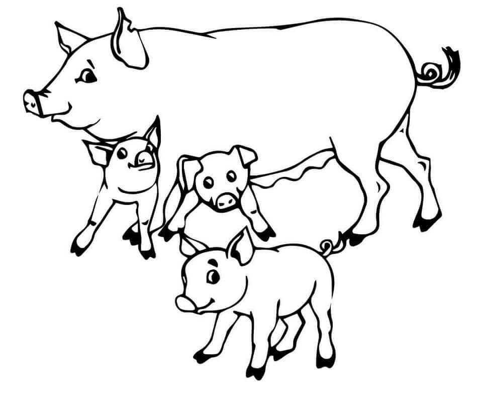 Cerdos Madre y Lechones