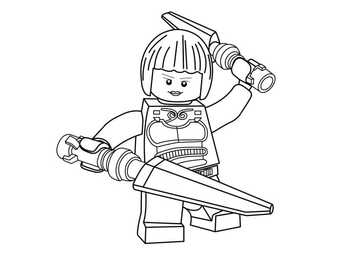 Chico Lego Ninja