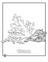 Coral Animal en Peligro de Extinción