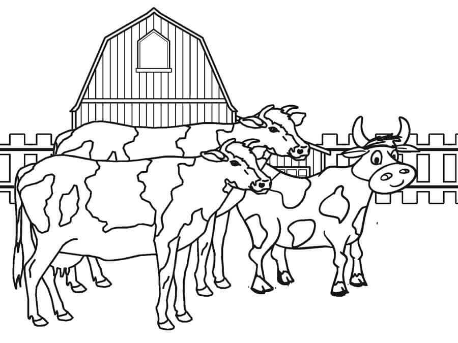 Corral de Vacas