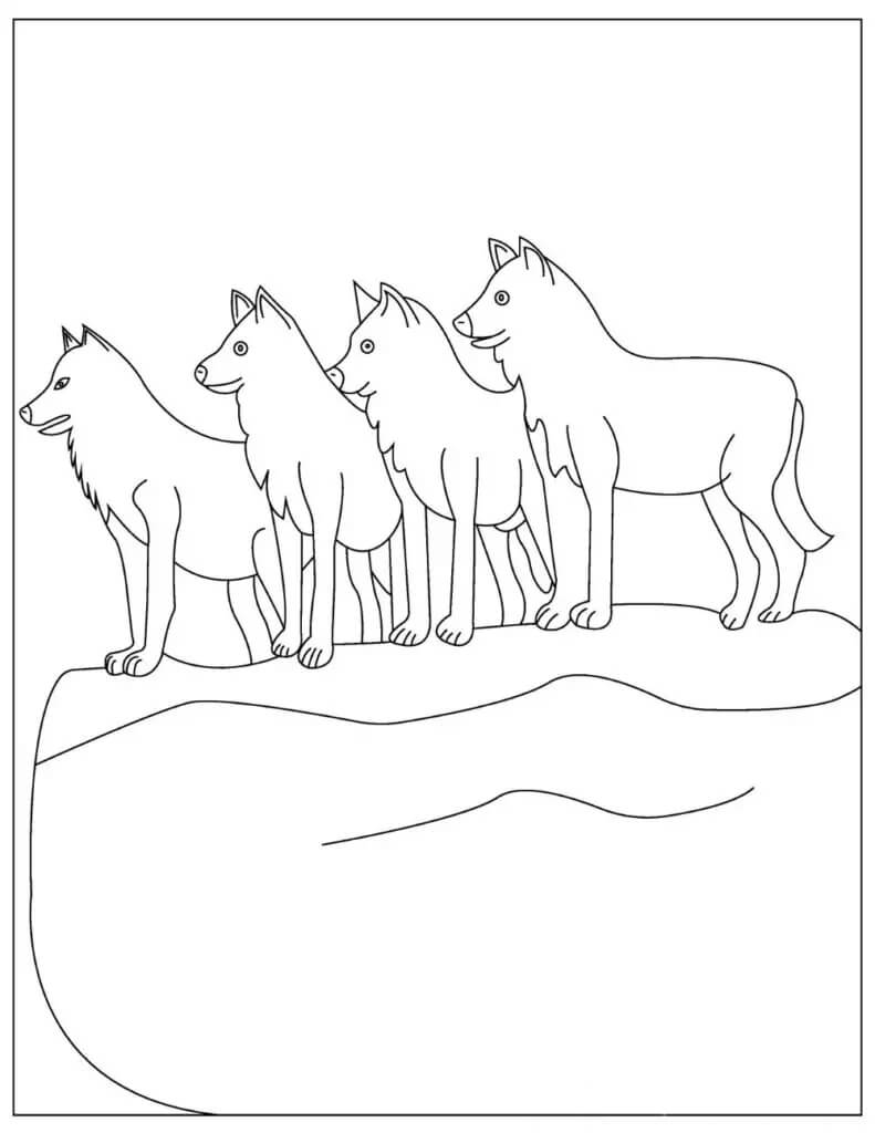 Cuatro Lobos para colorear, imprimir e dibujar –