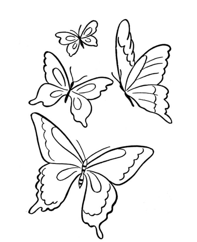 Traición músico Tigre Cuatro Mariposas para colorear, imprimir e dibujar –ColoringOnly.Com