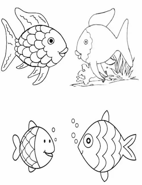 Cuatro peces Arcoiris