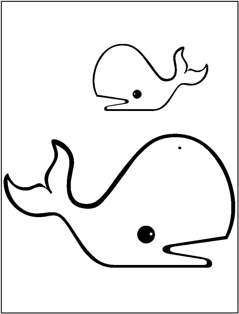 Dibujar dos Ballenas
