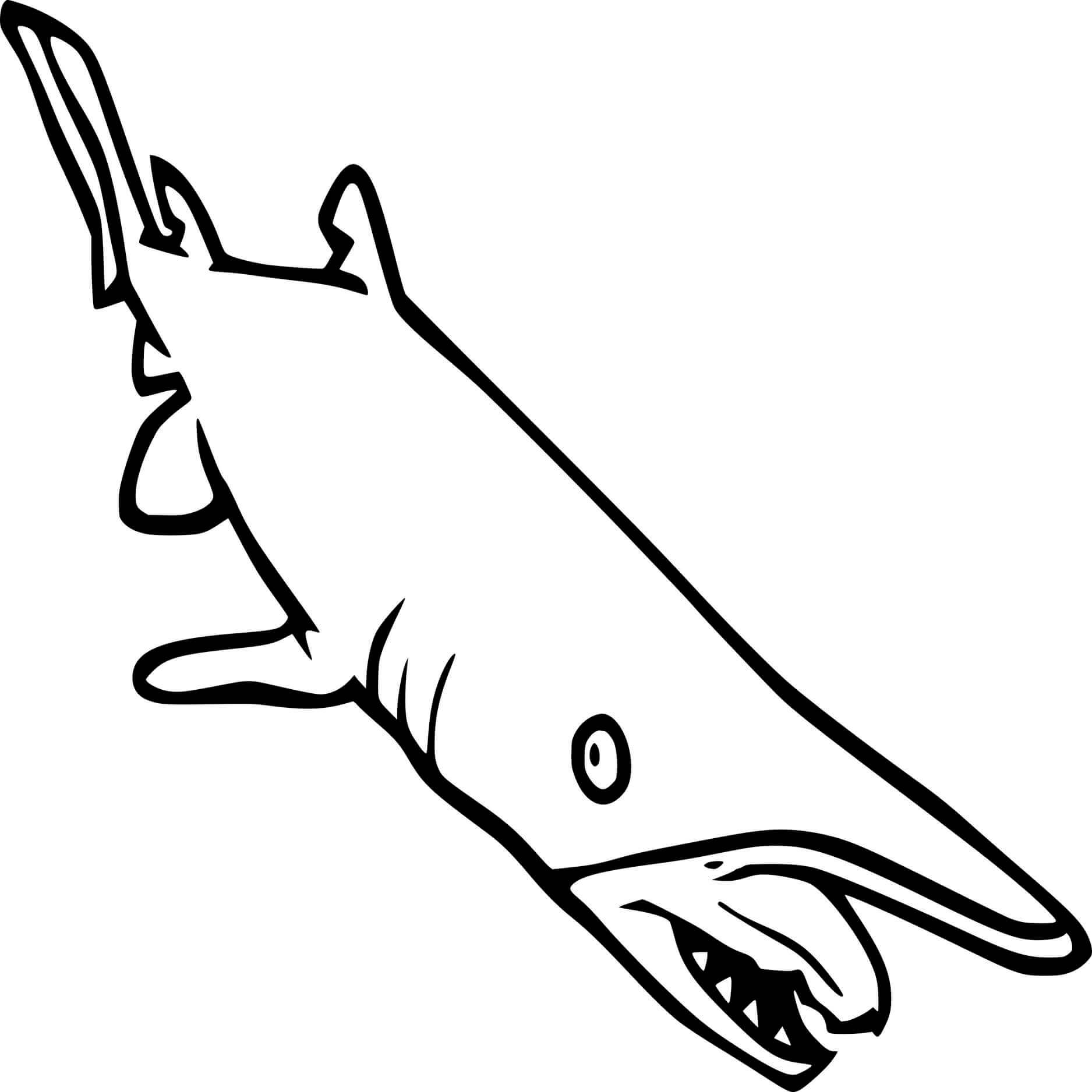 Dibujo Gran Tiburón Duende
