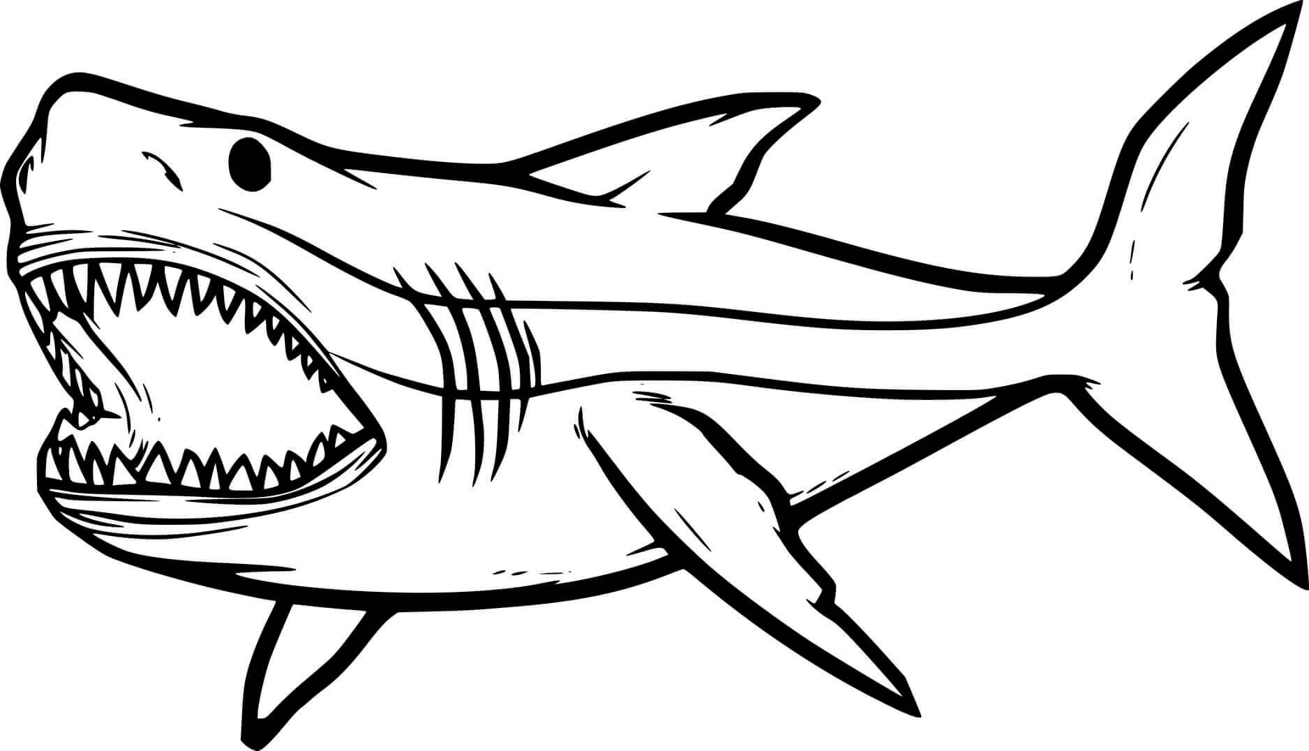 Tiburón Va A Bucear para colorear imprimir e dibujar ColoringOnly Com