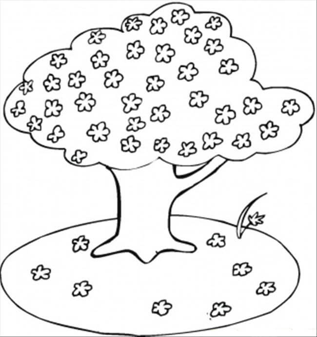 Dibujo de Árbol de Flor de Cerezo para colorear, imprimir e dibujar  –ColoringOnly.Com