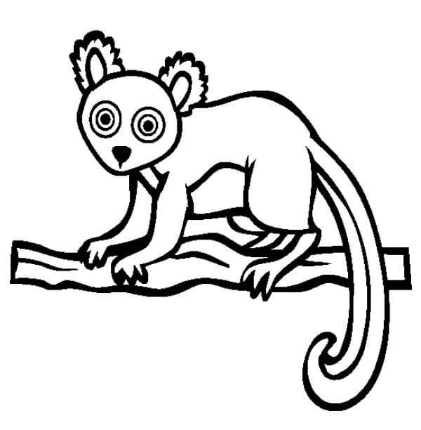 Dibujo de Lémur