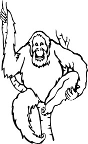 Dibujo de Orangután