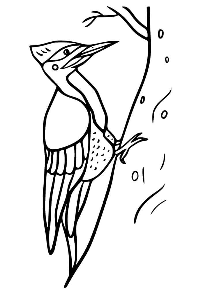 Dibujo de Pájaro Carpintero en un Árbol