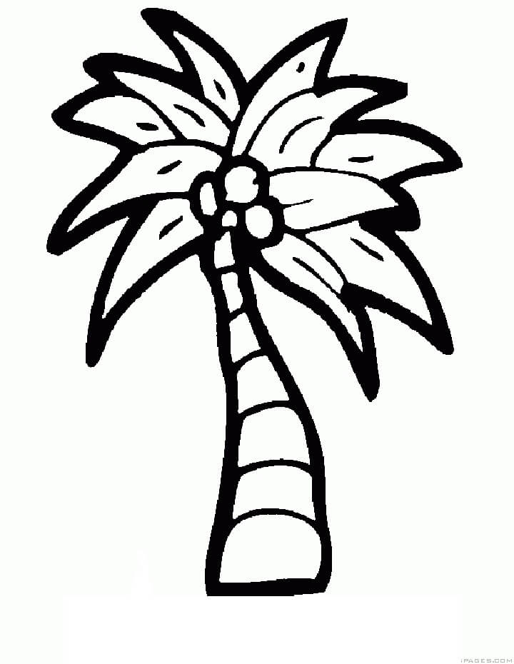 Dibujo de árbol de Coco