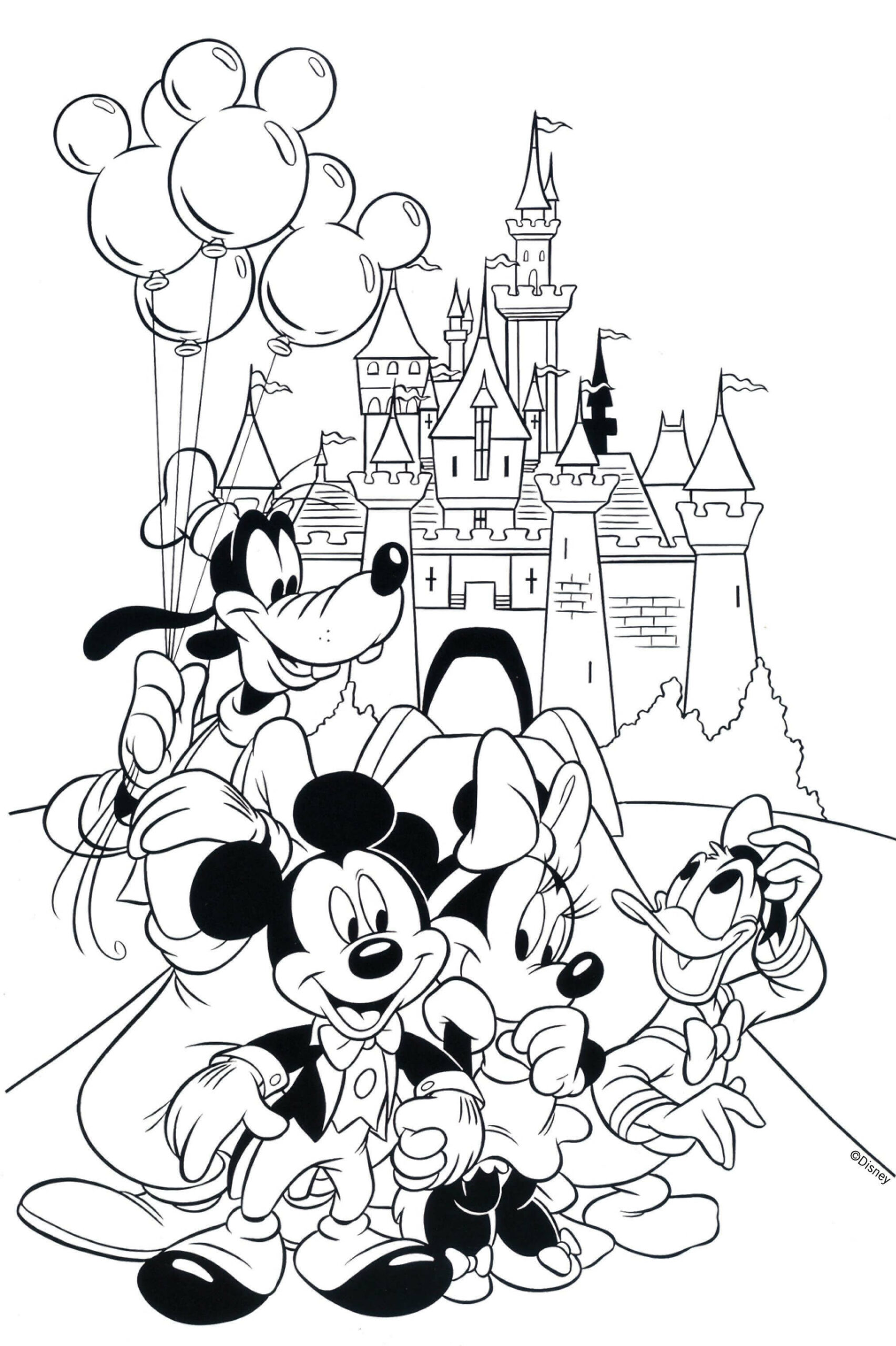 Disney Mickey y Amigos