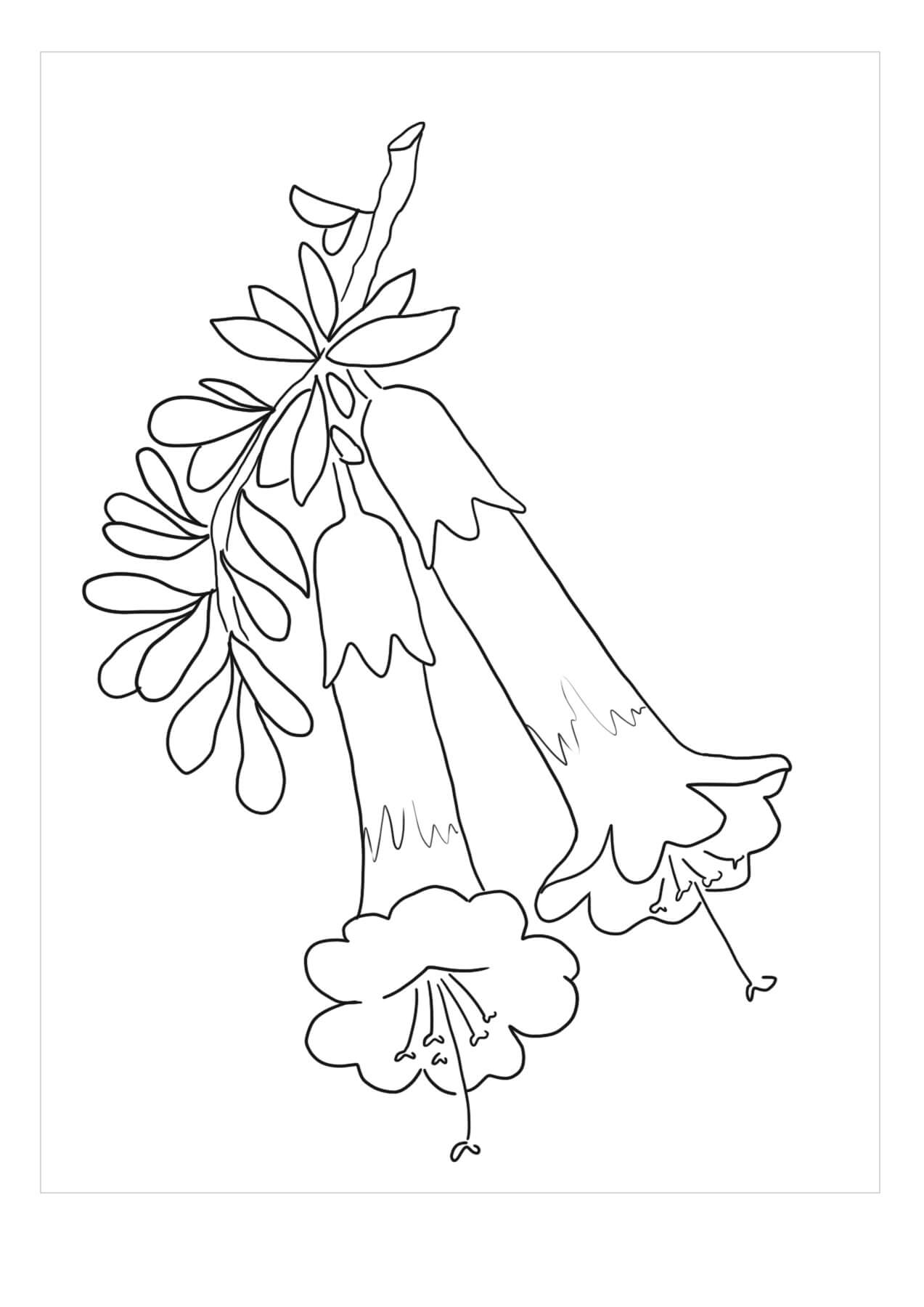 Dibujos de Gardenia para colorear e imprimir– 