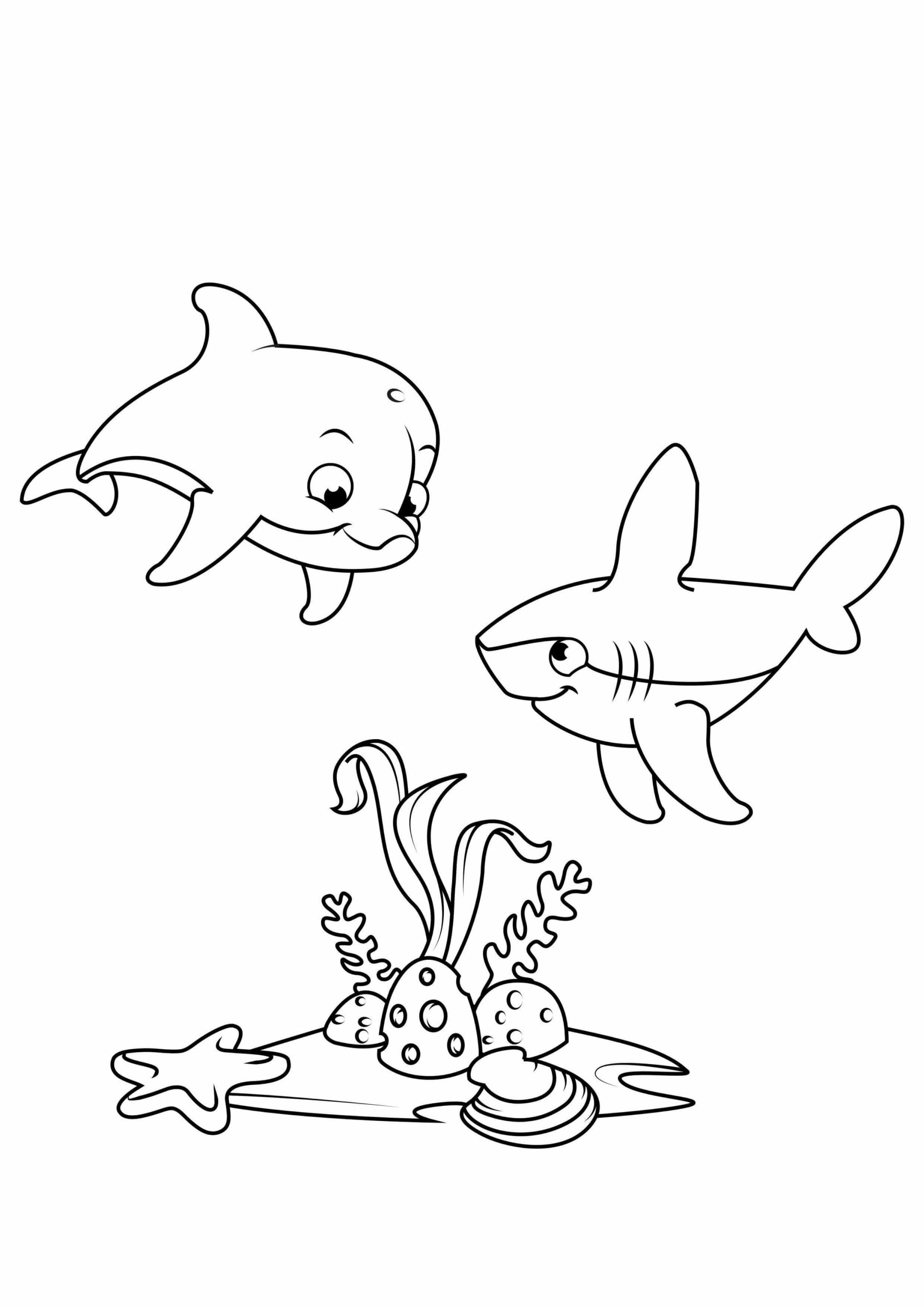 Dos bebés Tiburones con Coral