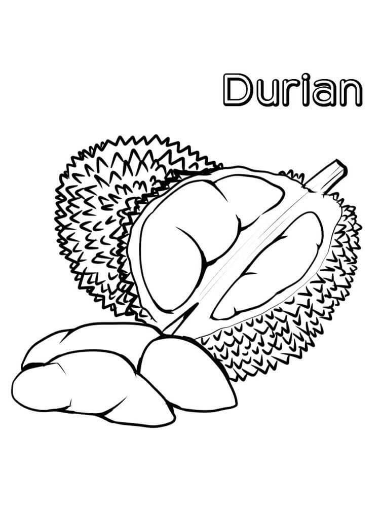 Durian Normal