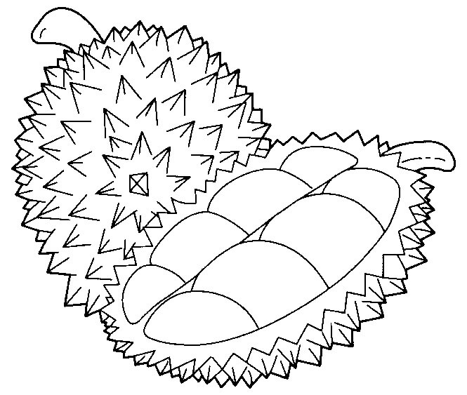 Durian Simple y Medio Durian