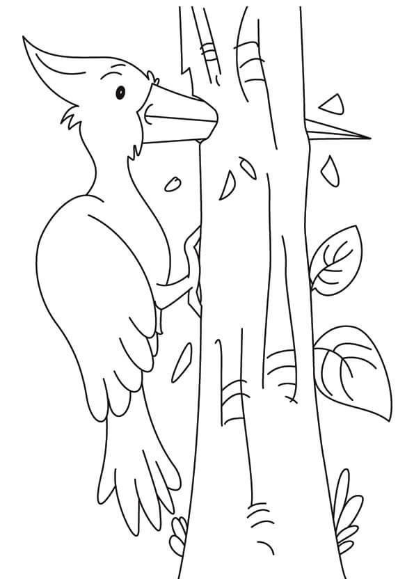 El pájaro Carpintero está Perforando un Agujero en un Árbol