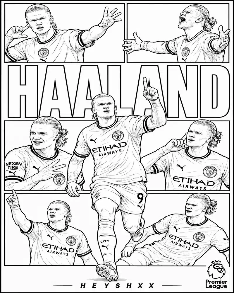 Erling Haaland