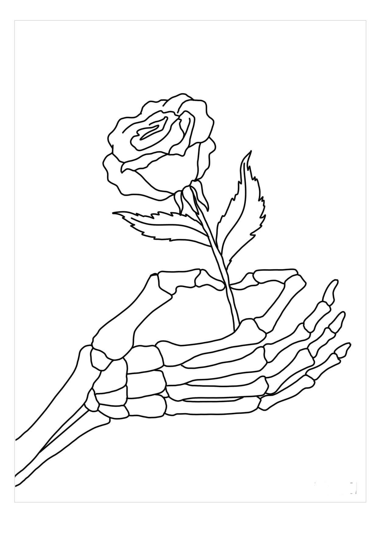 Esqueleto de la Mano Tenencia Rosa