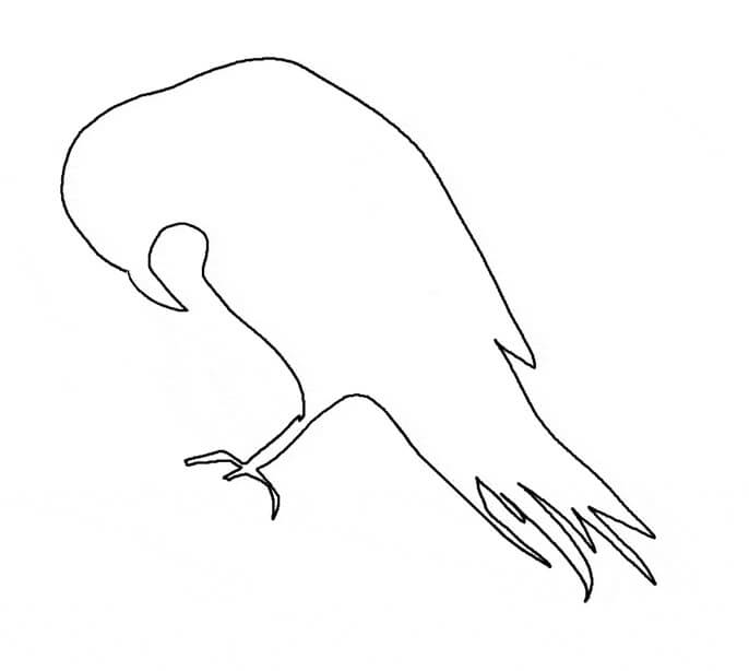 Esquema de Cuervo