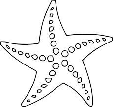 Estrella de Mar Simple