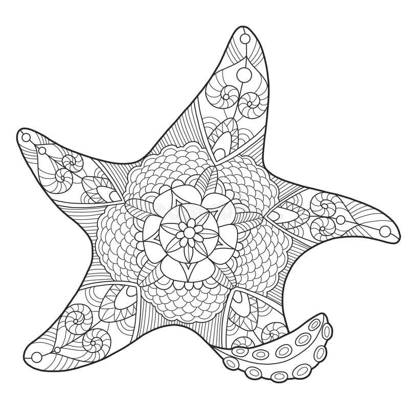 Estrella de mar Dura
