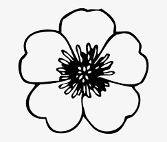 Flor de Amapola para colorear, imprimir e dibujar –ColoringOnly.Com