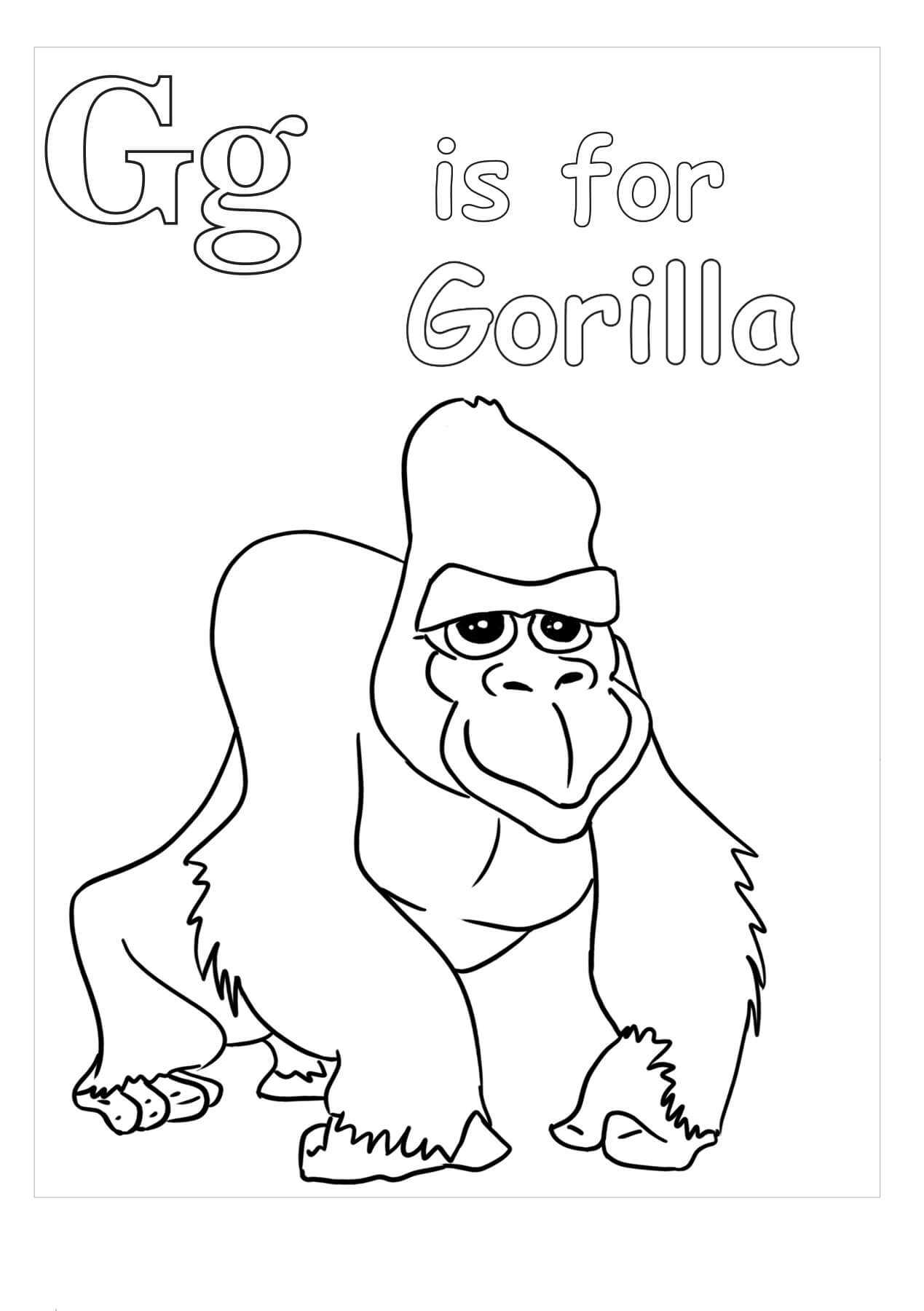 G es Para Gorila