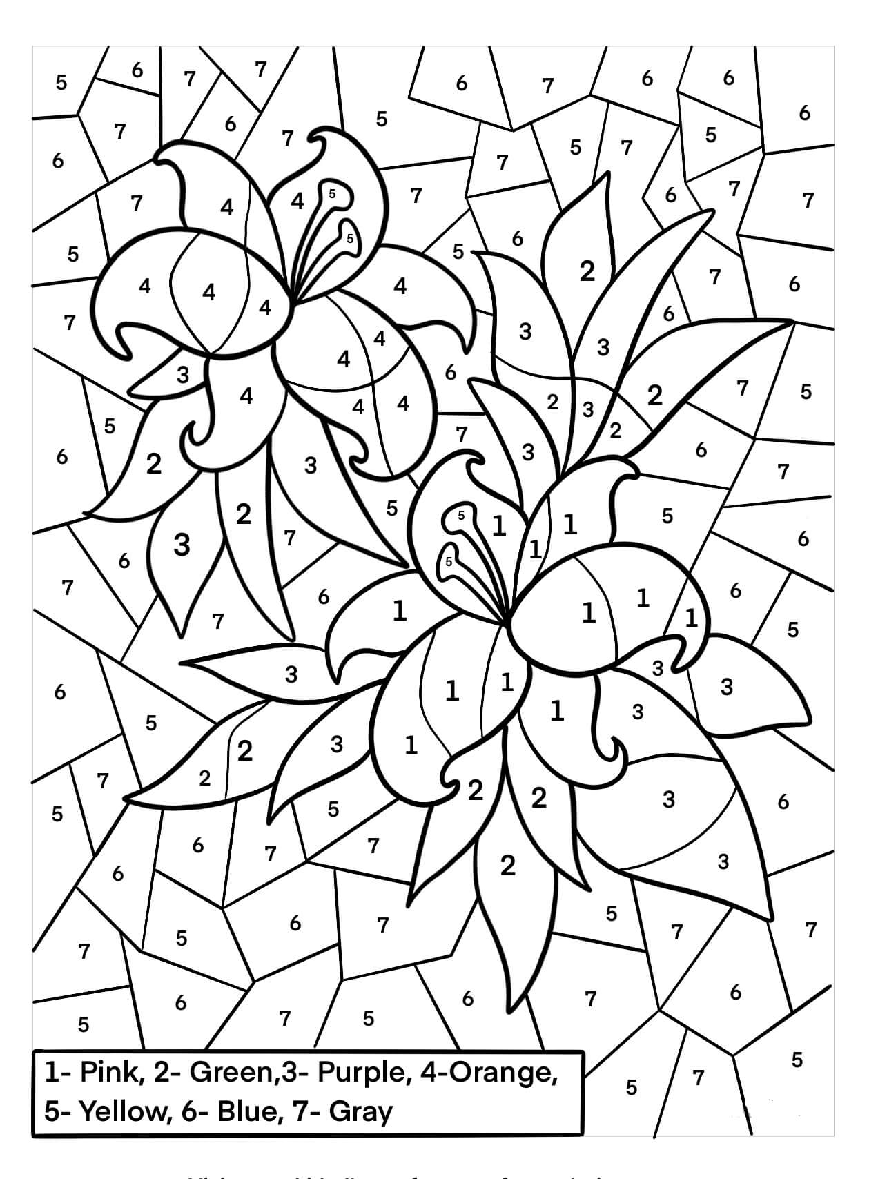 Gardenia Colorear por Números