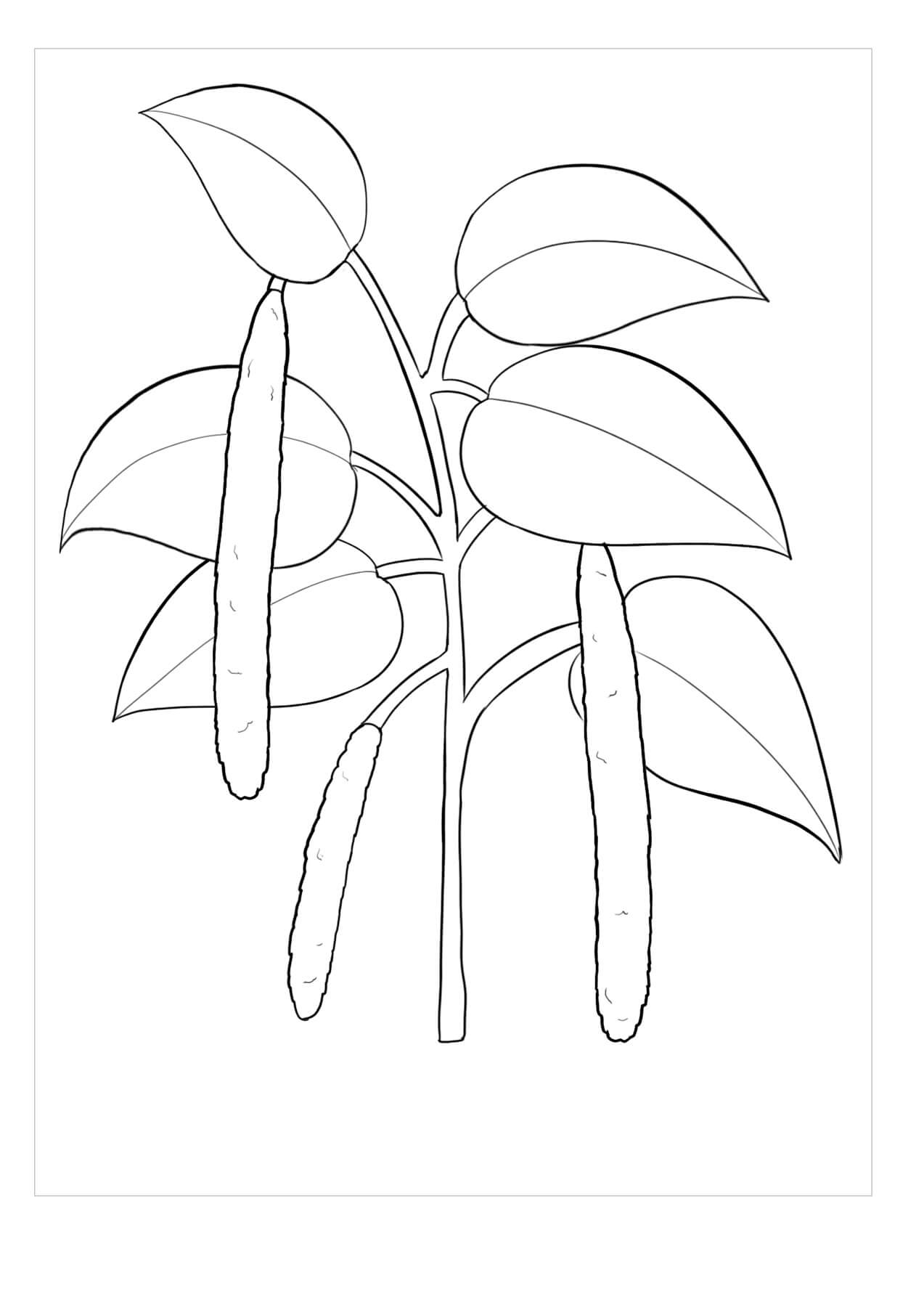 Gardenia Imprimible