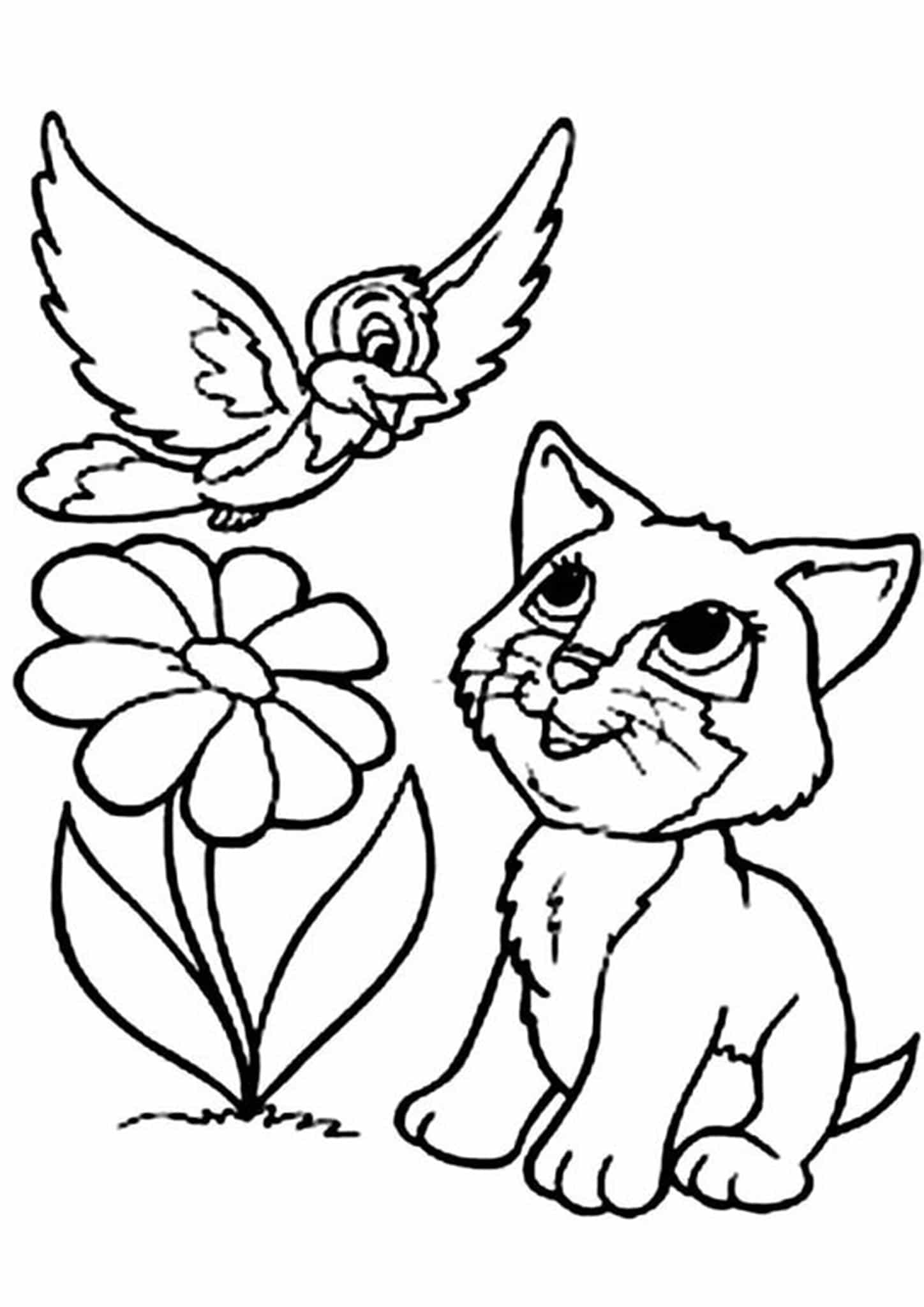 Gatito y Pájaro Flor