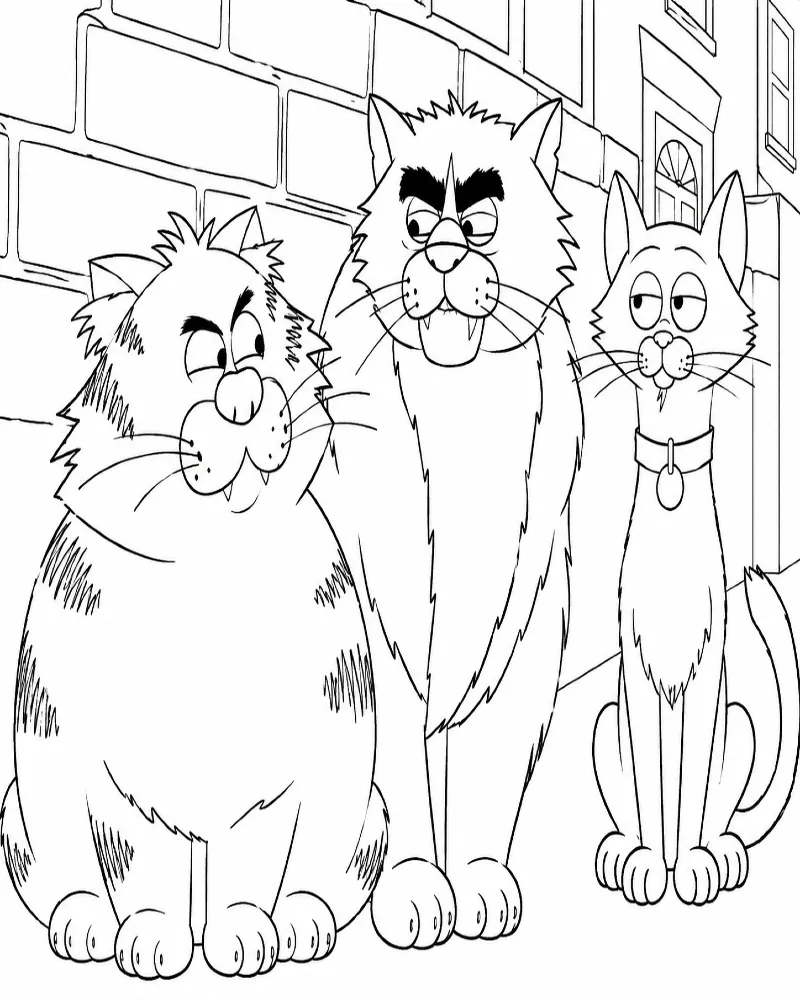Gatos Callejeros En La Calle