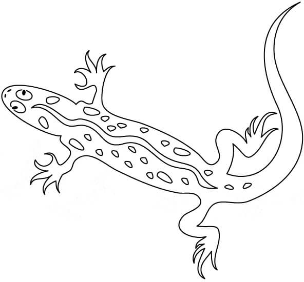 Gecko Imprimible