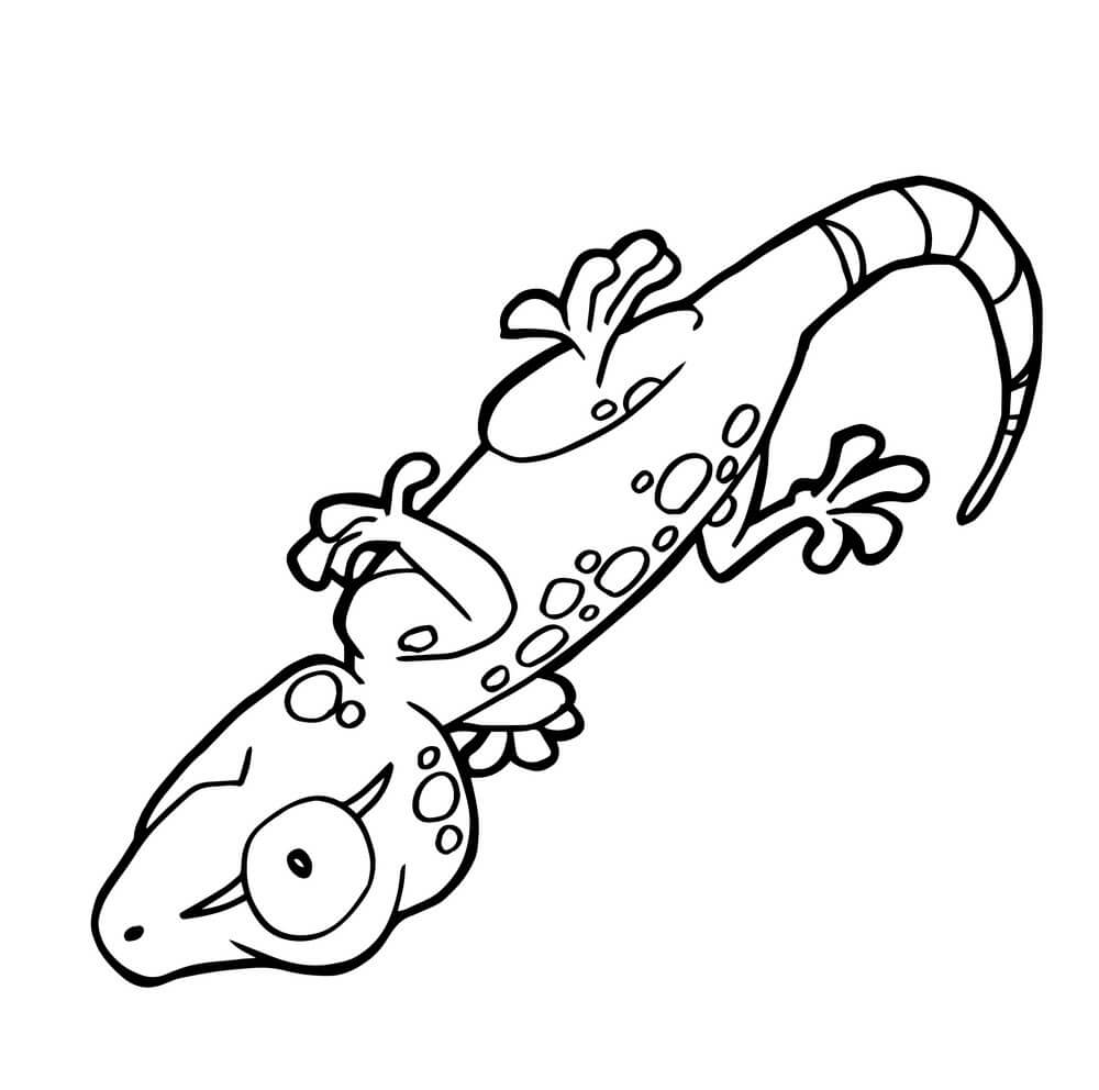 Gecko Lindo de Dibujos Animados