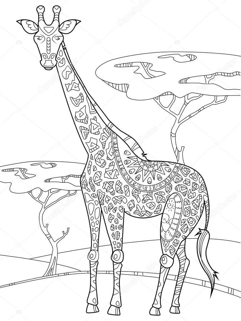 Giraffe Standing in Meadow