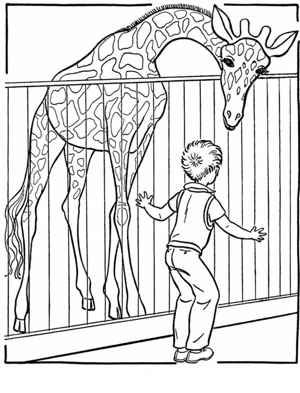 Giraffe and Kid of the Zoo