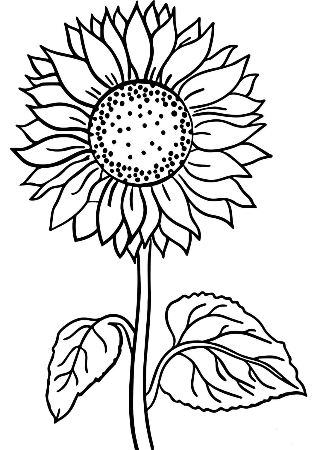 Dibujos de Girasol para colorear e imprimir– ColoringOnly.Com