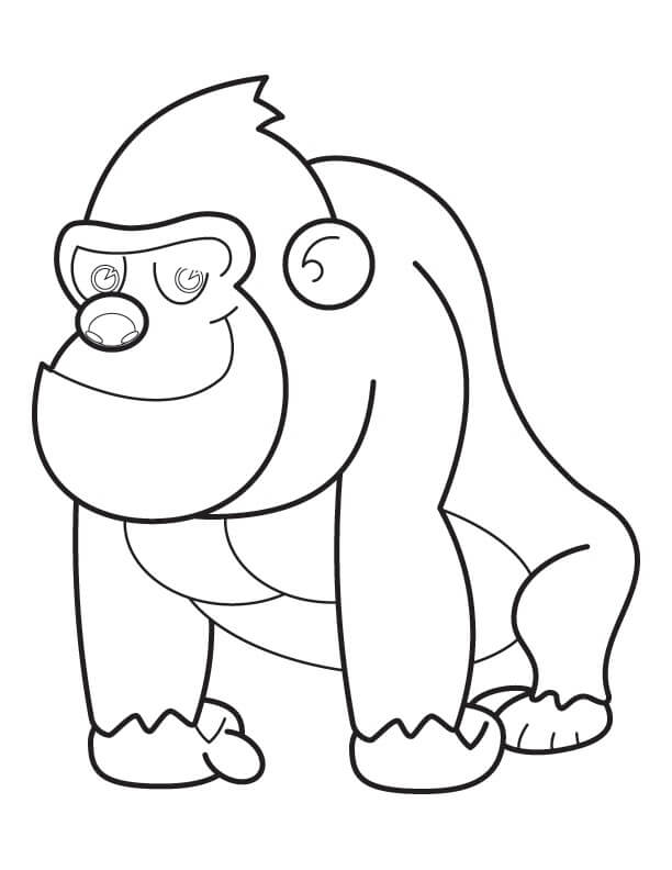 Gorila Normal