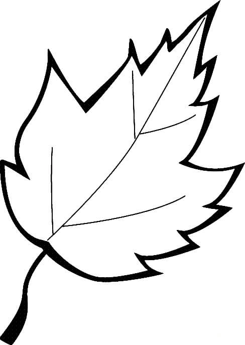 Hoja De Palma Para Colorear Imprimir E Dibujar ColoringOnly Com