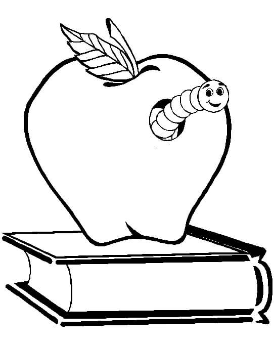Gusano de Manzana en Libro