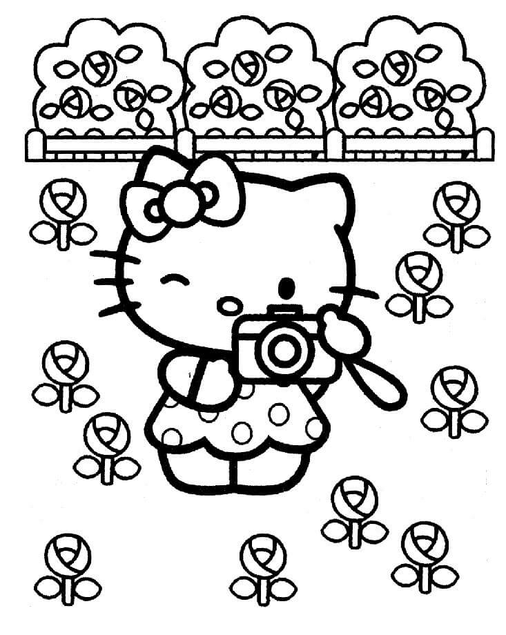 Hello Kitty tomando Fotos del Jardín de Flores