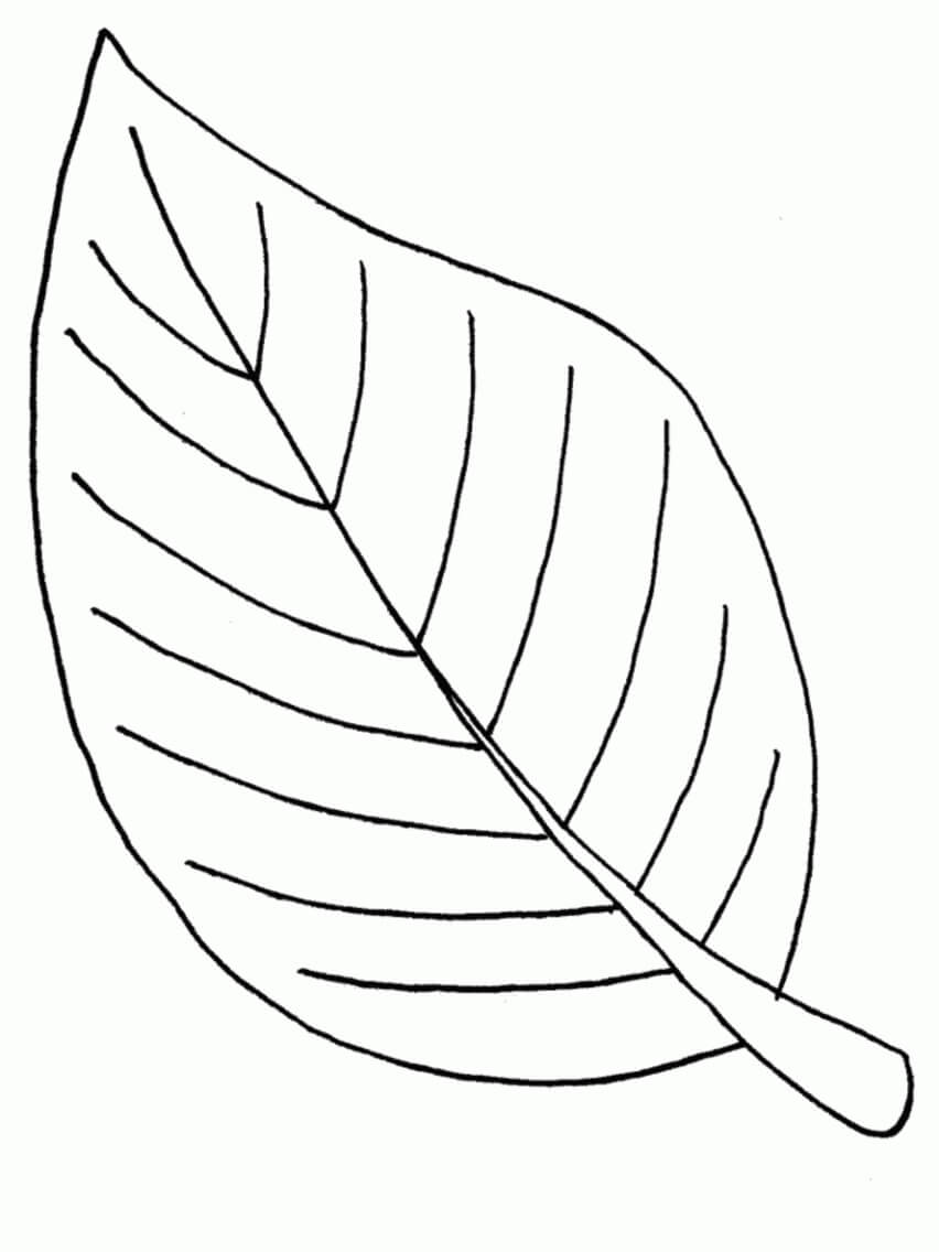 Hoja Relacionada Para Colorear Imprimir E Dibujar ColoringOnly Com