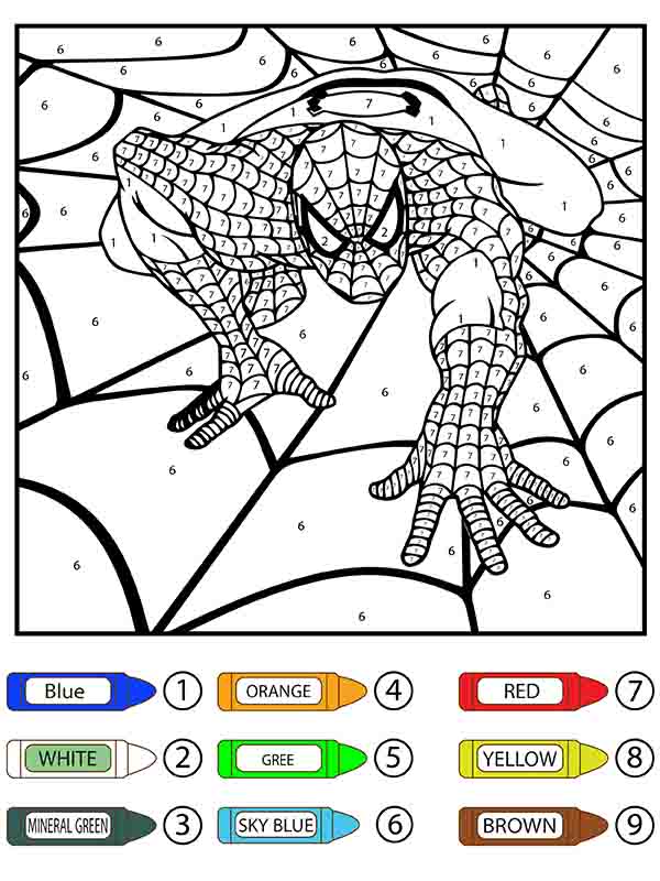Hombre Araña Arrastrándose en la Telaraña Colorear por Número