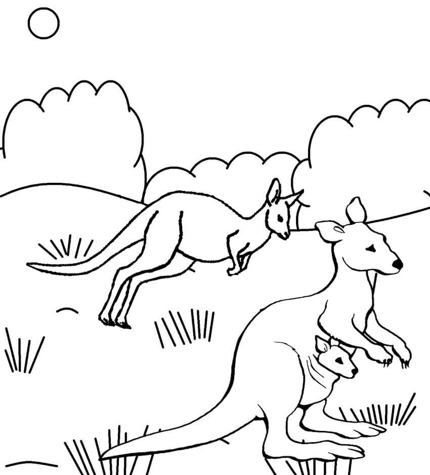 Dibujos De Canguro Para Colorear E Imprimir ColoringOnly Com Dibujos De Canguro Para Colorear E Imprimir ColoringOnly Com