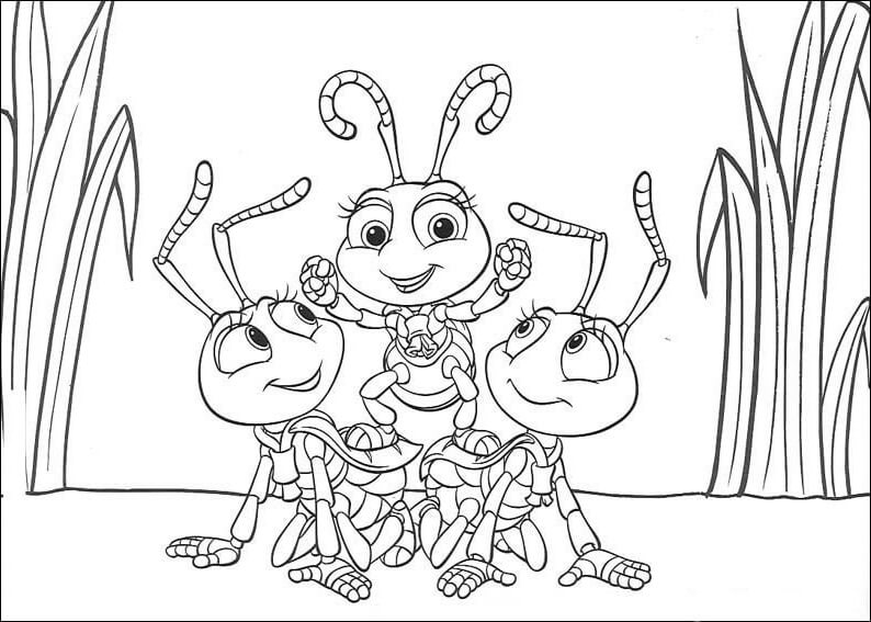 Insectos